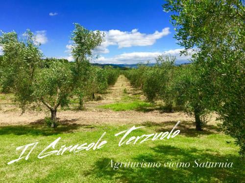 Agroturismo Il Girasole Terzuolo