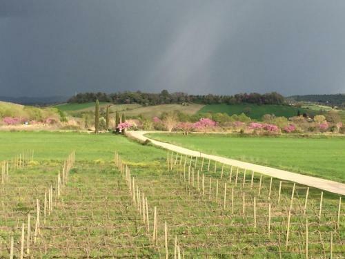 Agroturismo Il Girasole Terzuolo