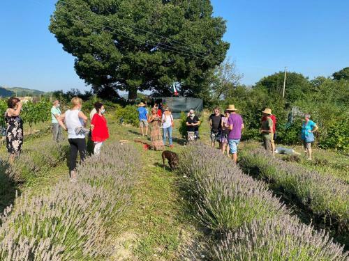 Agroturismo B&B La Pace