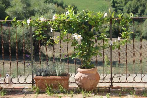 Agroturismo B&B La Pace