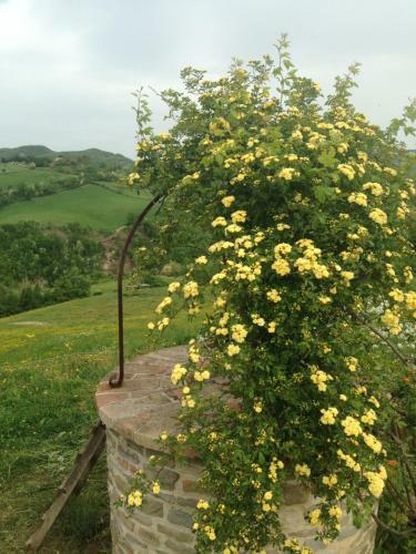 Agroturismo B&B La Pace