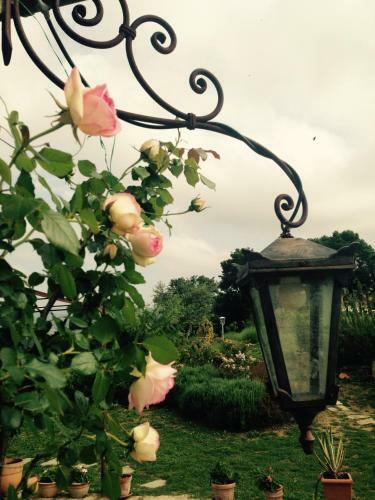 Agroturismo B&B La Pace