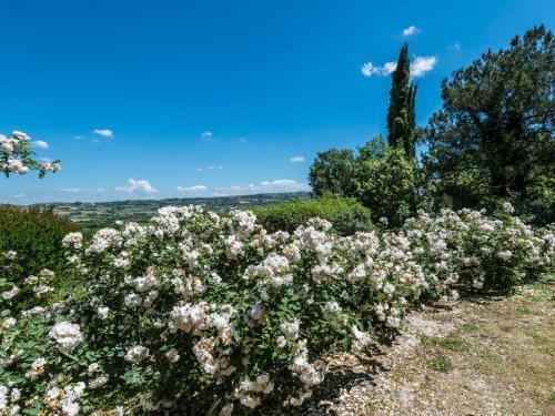Holiday Home Campagnano Di Roma 2
