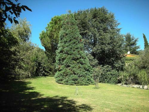 Holiday Home Campagnano Di Roma 2