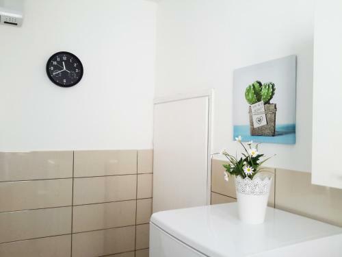 Albert Home