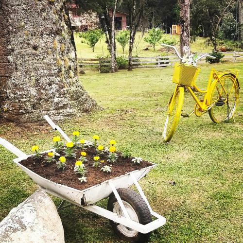Magia Das Hort�nsias
