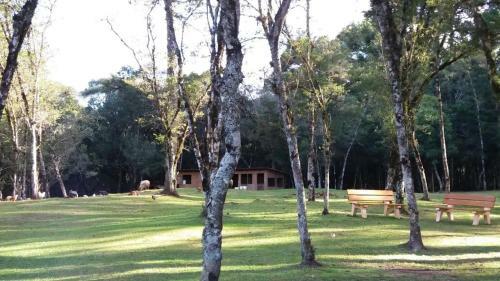 Magia Das Hort�nsias