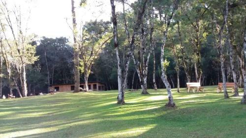 Magia Das Hort�nsias