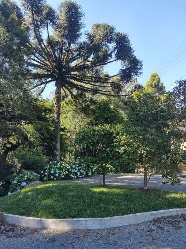 Apartamento Viver A Natureza