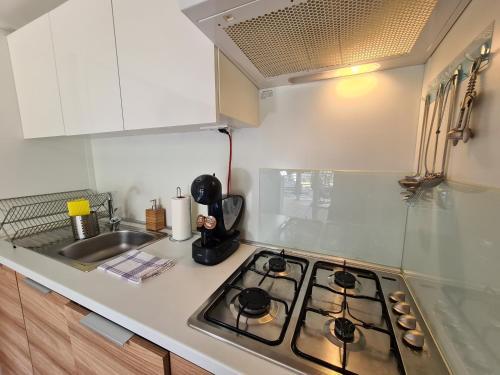 Premium Mobile Home Zen Spot 277