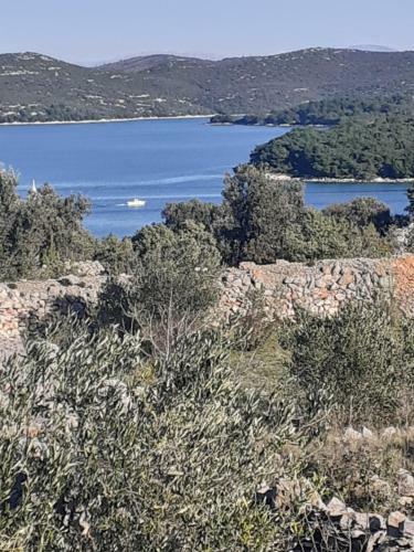 Hostal Villa Palfi