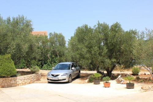 Apartment Mala Lamjana 347c