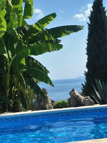 Apartamento My-summerlodge-lemon