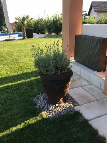 Apartamento My-summerlodge-lemon