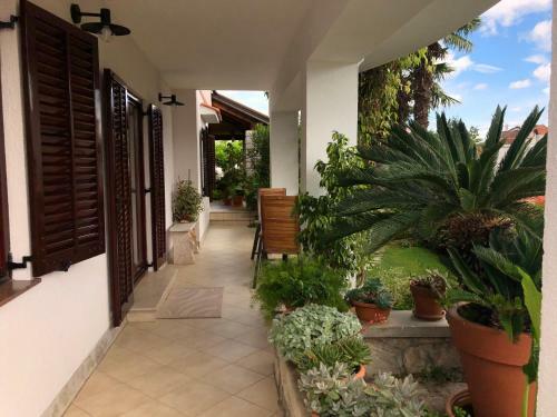 Palm Garden Apartment