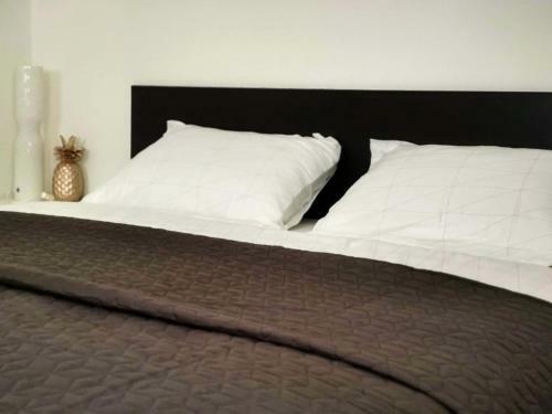 Apartments By Zec
