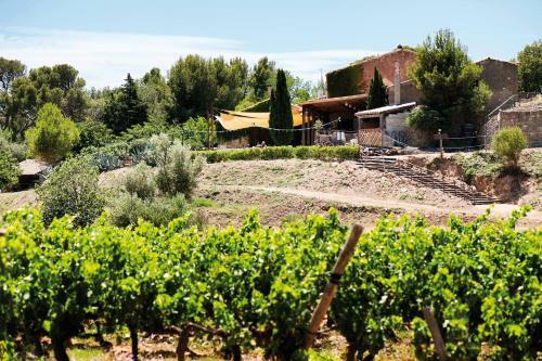 Bed & Breakfast Chambres D'h�tes Ch�teau Le Bou�s