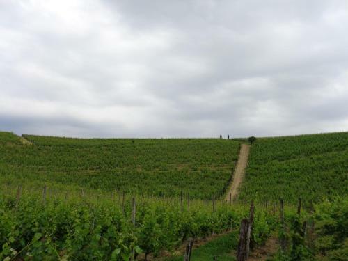 Agroturismo Gran Collina