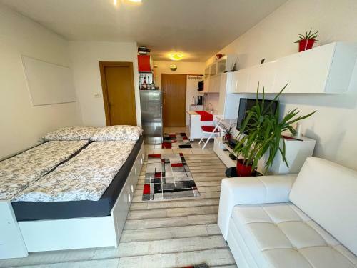 Studio Apartment Kova