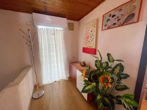 Apartment In Jadranovo 42255
