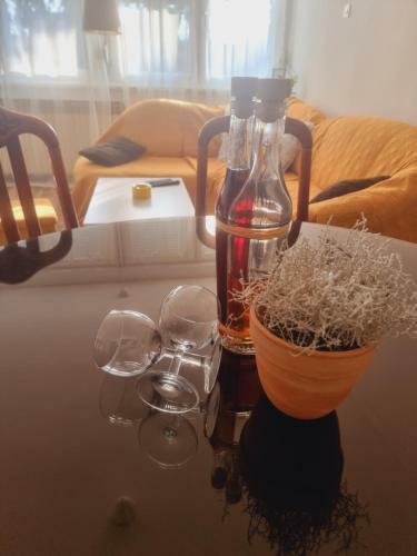 Skitnica 6 Apartman