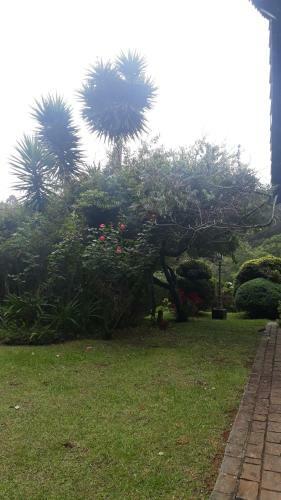 Casa Em Campos Do Jord�o