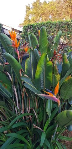 Recanto Do Sonho Em Campos Do Jord�o