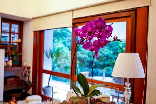 Posada Pousada Hortel�