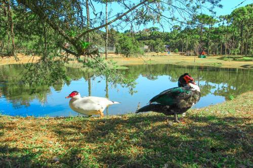 Lodge Aconchego V�u Da Noiva