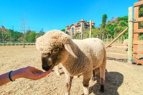 Lodge Aconchego V�u Da Noiva