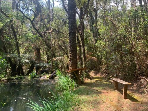 Chal� Arauc�ria Campos Do Jordao