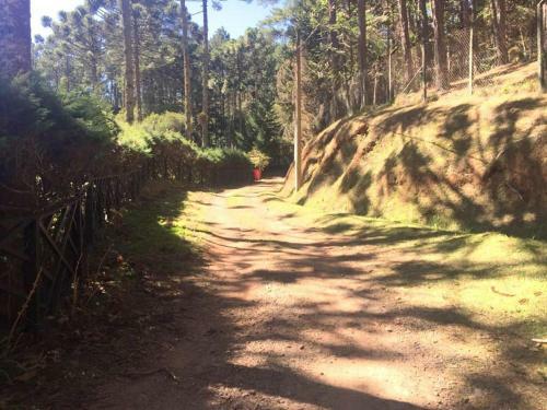 Chal� Arauc�ria Campos Do Jordao