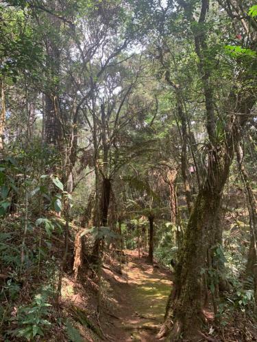 Chal� Arauc�ria Campos Do Jordao