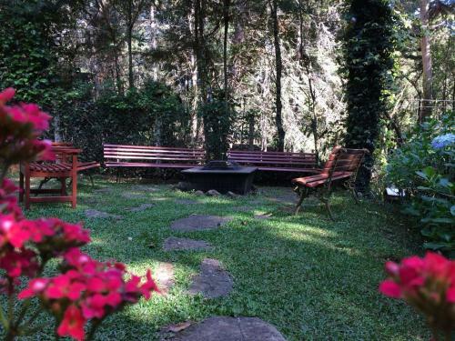 Casar�o Na Montanha Com 5 Su�tes, Em Meio A Bosque