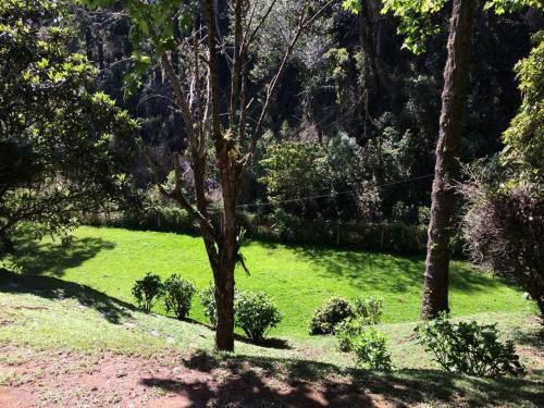 Casar�o Na Montanha Com 5 Su�tes, Em Meio A Bosque