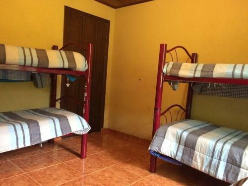 Casar�o Na Montanha Com 5 Su�tes, Em Meio A Bosque