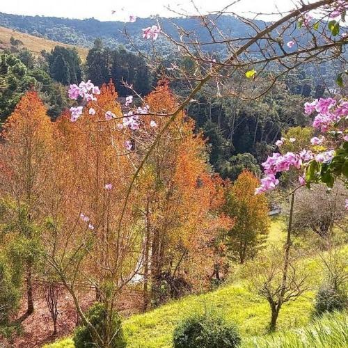 Albergue Col�nia Saa - Shangril�