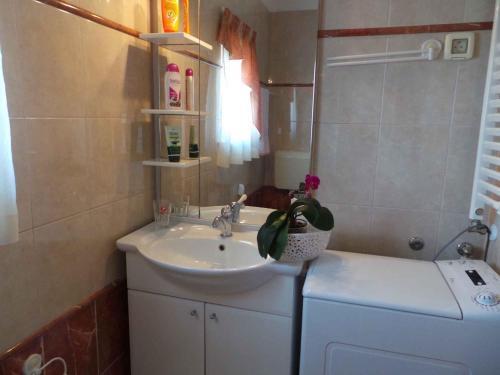 Apartments In Fazana/istrien 8456