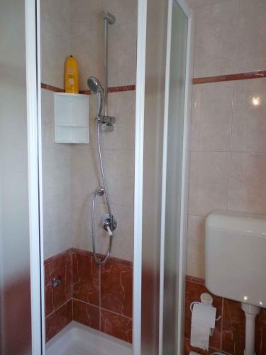 Apartments In Fazana/istrien 8456