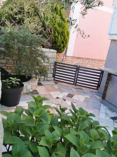 Apartments Medea