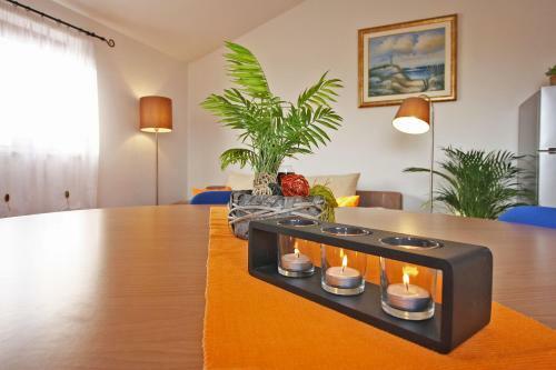 Brijunisol - 3 Apartments Top Position Near The Beautiful Beach