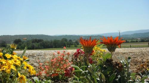 Bed & Breakfast Le Temps D'un R�ve