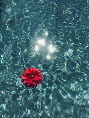 Bed & Breakfast Le Temps D'un R�ve