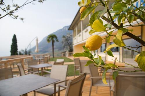 Aparthotel Hotel Panorama