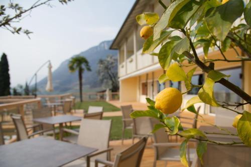 Aparthotel Hotel Panorama