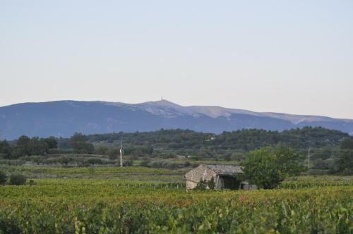 Bed & Breakfast Le Mas De Plein Pagnier