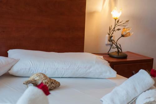 Katelios Dreams Apartments