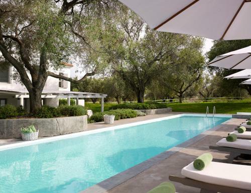 Hotel Olivemare