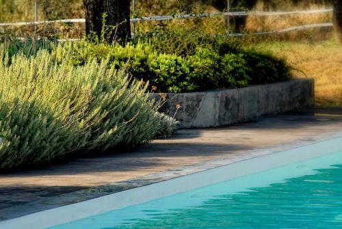 Hotel Olivemare