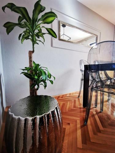 Apartamento Masha